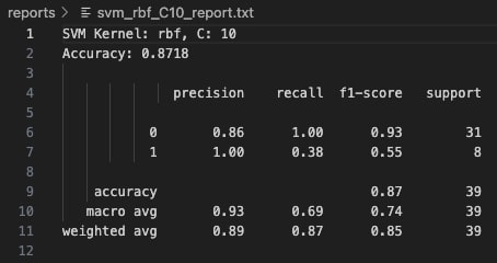 RBF Kernel C=10 Report Snapshot